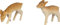 HGD Figuren Set handgeschnitzte Rehe