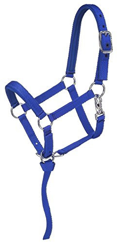 Tough 1 Nylon-gepolstertes Miniatur-Halfter, 50-750-4-101, Blau/Royal, Größe S