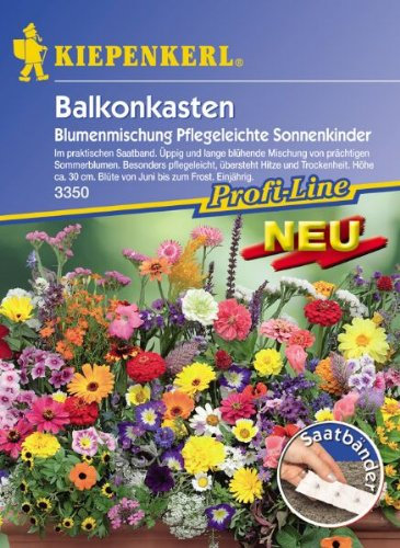 Blumenmischung Balkonkastenblumen pflegeleichte Sonnenkinder Mischung Saatband