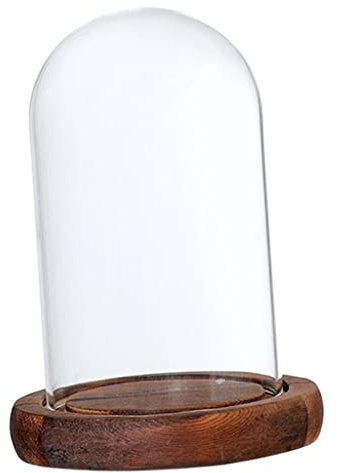 Fenteer Glashaube Glasglocke Glassturz mit Holzboden DIY Landschaften Fairy Garten Terrarium, Braun A