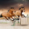 Papier Peint Panoramique Cheval Brun 300x210cm Papier Peint Intissé Chambre Salon Restaurant Moderne Décoration De La Maison Wallpaper Murales