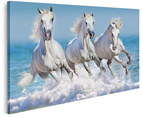 islandburner Bild auf Leinwand Pferde Wasser Weißes Pferd Herde Kinderzimmer Reiten Bilder Wandbilder Poster