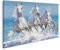 islandburner Bild auf Leinwand Pferde Wasser Weißes Pferd Herde Kinderzimmer Reiten Bilder Wandbilder Poster