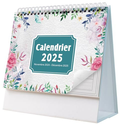 AEYAKA Calendriers de Bureau 2025 Calendriers Janvier 2025 à Décembre 2025, 20 x 20,5 cm Français A06 (Blanc 2)