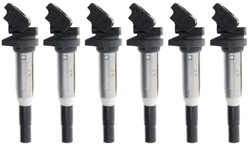 Zündspule für BMW X5 E70 E53 F15, X6 E71 E72, X4 F26, X3 F25 E83, X1 E84 F10, E90 E46, E60 E87 F01, 6 Stück, Teilenummer 12138616153