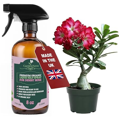 GARDENNOVA Professional Organic Liquid Kelp Spray for Desert Rose Plants - 8 oz - Ready-to-Use Fully Organic Seaweed & Kelp Fertilizer Mist