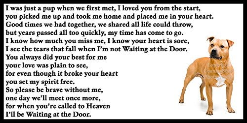 Staffordshire Bull Terrier Staffy Bereavement pet Dog Loss Flexible Fridge Magnet - Waiting at The Door