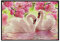 Diamond Painting, DIY Kinder Diamant Painting Bilder, Vogel Blume 5D Erwachsene Groß Vollbohrer Diamant Malerei Cross Stickerei Malerei Kits, für Wohnwand Wand Dekoration Geschenk 70x100cm