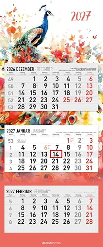 3-Monatskalender Design 2027: Wandkalender 33x80 cm mit 3 Monaten im Überblick, Datumsschieber, Jahresübersicht, Schulferien, faltbar, für Büro & Homeoffice