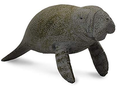 Collcta マナティ仔