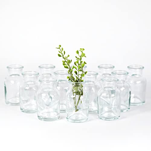 gouveo 12er Set Glasvasen Clear-Bottle 60 - Runde Blumenvasen aus Glas - Deko-Vasen für Zuhause, Hochzeiten, Geburtstage, Feste