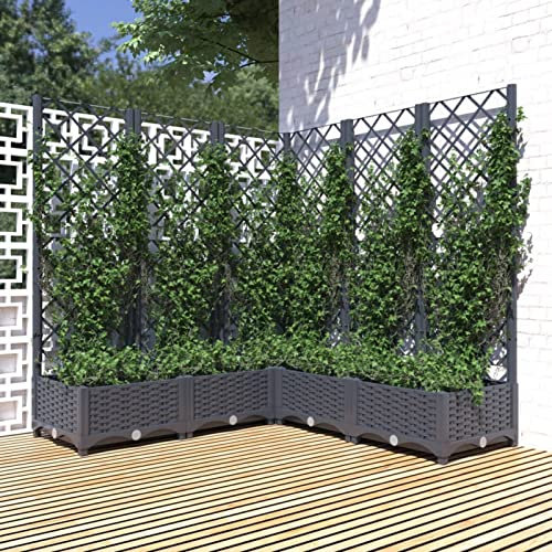 SHUJING Outdoor Bench,Garden Bench,Garden Seat,Garden Planter with Trellis Dark Grey 120x120x121.5 cm PP