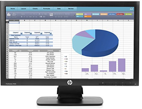 HP ProDisplay P202 TN 20 Monitor Black (Renewed)