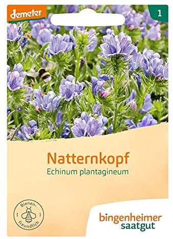 Bingenheimer Saatgut Natternkopf Echinum plantagineum demeter bio für ca. 80 Pflanzen