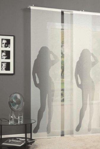 Schiebevorhang Flächenvorhang Topmodel anthrazit 245x60cm