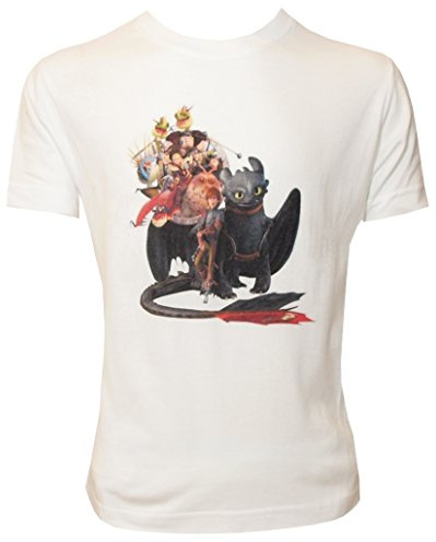 Dragons Kinder T-Shirt DreamWorks Drachenreiter Freunde Gruppenbild, Größe 116-158 (128/134)