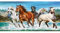 Castorland CSC200702 - Puzle
