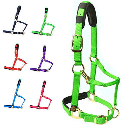 T TEKE Adjustable Horse Halters by Heavy Duty Soft Nylon, Padded with Anti-rubbing Waffle Neoprene on Both Crown & Nose