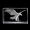 3D Adler Laser geätzt in Kristallglas Würfel Briefbeschwerer Glatzadler Liebhaber Geschenke (Adler 4)