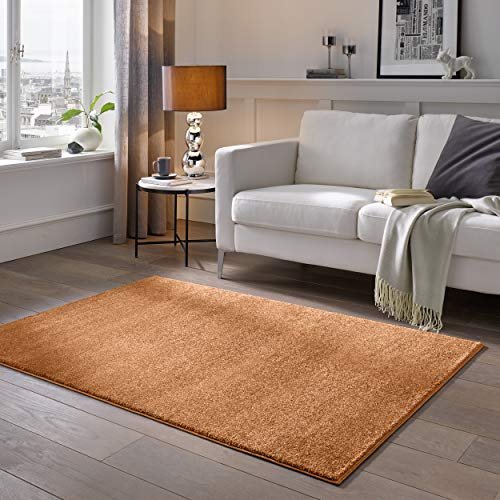 TacaHome Kurzflor Teppich Designer I Flauschiger Flachflor fürs Wohnzimmer, Esszimmer, Schlafzimmer oder Kinderzimmer | 80 x 150 cm Terra Kupfer