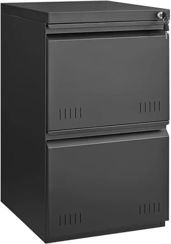 DTYBJN Organizer Tool Armoire de Rangement en Acier avec étagères réglables, Armoire à Outils pour Garage Sac à Outils(D)