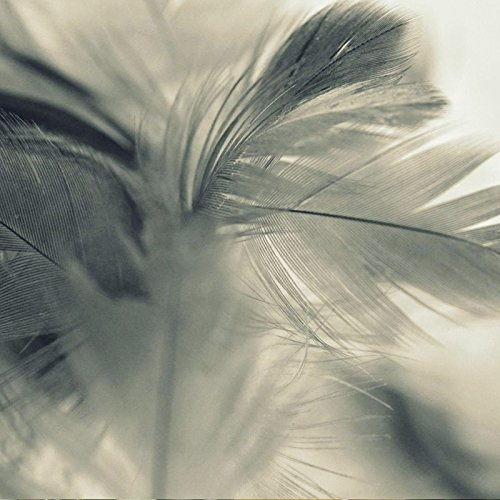 Simmering Granules - Angel Wings Home Fragrance for Oil Burners