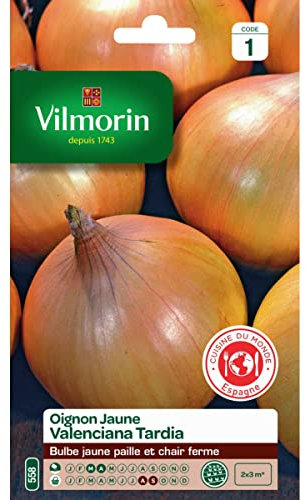 Vilmorin - Sachet graines Oignon jaune valenciana Tardia