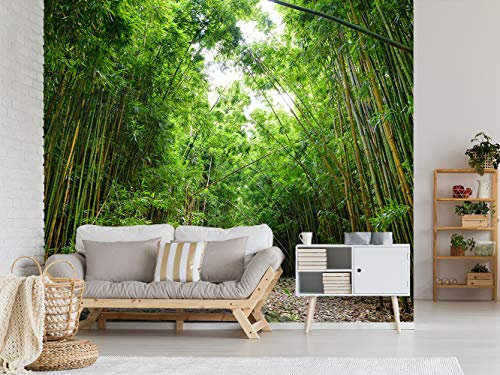 Fotomural Vinilo Para Pared Bosque de Bambú | Fotomural para paredes | Mural | Vinilo Decorativo | Varias Medidas 100 x 70 cm | Decoración comedores, salones, habitaciones...
