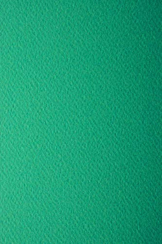 Netuno 10x Tonkarton Gras-Grün einseitig strukturiert DIN A4 210x 297 mm 220g Prisma Verde Bastel-Karton mit Textur bunt Karten-Karton Struktur für Bastel-Projekte Einladungen