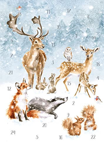 Wrendale Designs by Hannah Dale - Adventskalender A Winter Wonderland, 210 x 297 mm