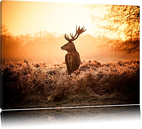Pixxprint Stolzer Hirsch, Größe: 80x60cm, Leinwandbild, fertig gespannt, Wandbild, Dekoration, Kunstdruck, kein Poster