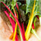 Rainbow Swiss Chard - Beta vulgaris subsp. cicla VAR. flavescens Vegetable Seeds, Also Known as Leaf Beet Home Garden Seeds ing by Heavy Torch, 50 Seeds: Only Seeds