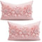 VanderHOME Dekorativer Kissenbezug, Hochwertige Holländische Samt Super Weiche Kissenhülle Mit Verstecktem Reißverschluss, Moderne Zimmer Sofa Stuhl Auto Garten Dekoration 50 * 30CM-Rosa-2pcs