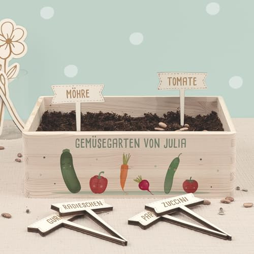 Personalisiertes Saatgut Anzuchtset für Kinder, Mini Gärtner Starter Kit, Garten Holzkiste, Gemüsegarten für Kinder, Kräutergarten, Blumengarten (Gemüsegarten, L (40x30x14cm))