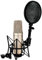 RØDE NT2-A Versatile Large-diaphragm Condenser Microphone with Switchable Polar Pattern, Pad and High-pass Filter for Vocal and Instrument Recording