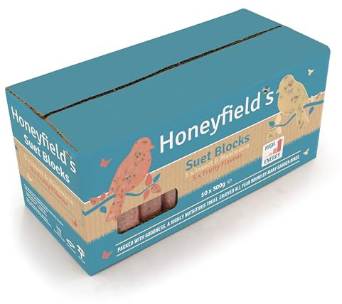 Honeyfield’s - Winter Suet Blocks for Wild Birds, Wild Bird Food for Robins and Common Garden Breeds, High Energy with Raisins, Suitable for Year-Round Feeding, Made in the UK (Mixed) (10 x 300g)