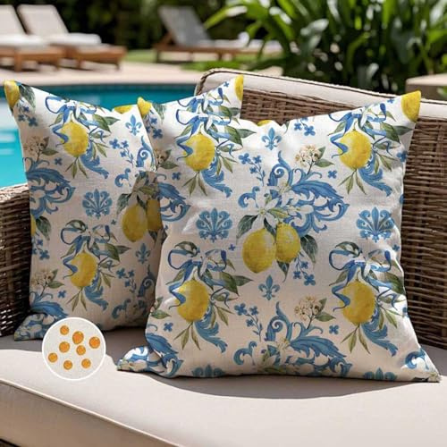 Jayusaror Outdoor Kissenbezug 40x40 Wetterfest Kissen Blau Gelb Zitronen Sofakissen Blumen Kissenhülle Frühling Sommer Wasserdicht Kissenbezüge für Sofa Garten Balkon Terrassen Lounge Deko 2er Set