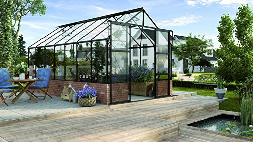 Cassandra 11500 Alu-Gewächshaus schwarz ESG Wintergarten 11,5 m² für Mauersockel