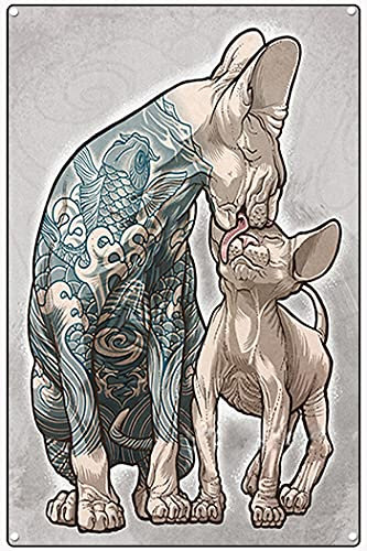 Metall-Blechschild Sphynx Katzen Kanada haarlose Katzen Druck Wanddekoration Kunst Wohnzimmer Garten Schlafzimmer Büro Hotel Cafe Bar Club Wanddekoration 30,5 x 40,6 cm