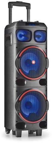 NGS WILD DUB 1 - Altoparlante Portatile 300W Compatibile con la Tecnologia Bluetooth e True Wireless Stereo, Doppio subwoofer 8 + Doppio Tweeter 3 (Micro SD/USB/AUX IN/), Ruote, Colore nero