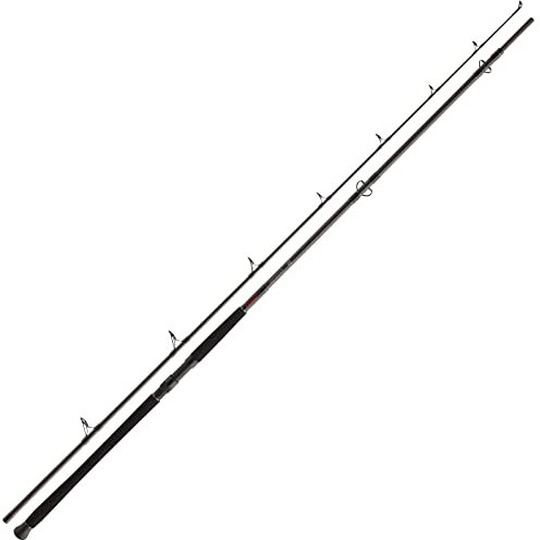 Daiwa Exceler CF Boje 3.00m 200-600g Wallerrute