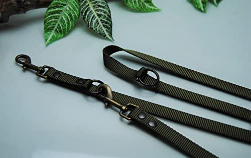 EXTRA Lange verstellbare Doppelführleine Nylon Oliv 3m x 20mm Karabiner Antik-Messing
