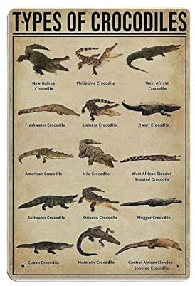 Crocodiles Knowledge Types of Crocodiles Metallblechschild Knowledge Poster Metallwandschild Vintage Wandkunst Dekor Kunstwerk Druck Geschenk für Zuhause Shop Büro Garten Garage Bar Outdoor 30,5 x 2