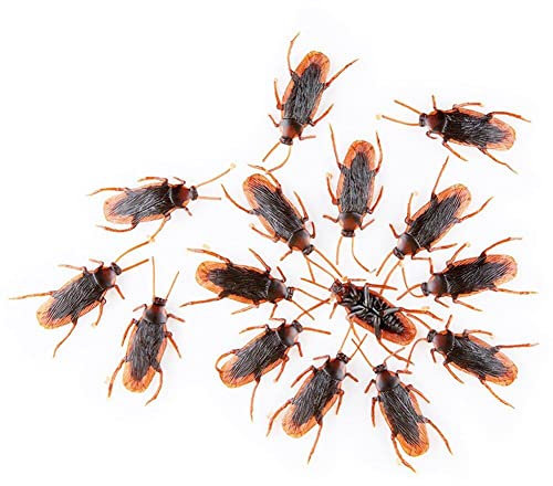 Künstliche Kakerlaken, Kakerlaken, Schaben, Wanzen, sehen echt aus, für Zuhause, Party, Dekoration, 15 Stück