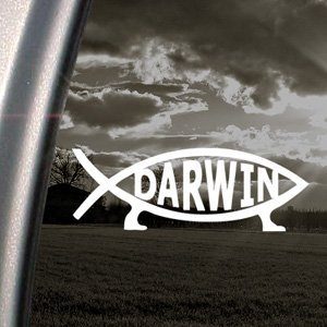 Ritrama Darwin Fischsymbol, Aufkleber, herausgebildet, Sticker für LKW-Fenster