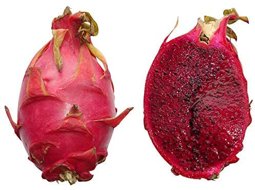 Pitahaya Rote Drachenfrucht 20 Samen *Rotfleischig* -Selten-