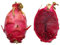 Pitahaya Rote Drachenfrucht 20 Samen *Rotfleischig* -Selten-