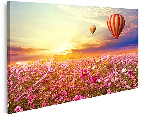 islandburner Tableau sur toile Paysage Beau Cosmos Fleur Champ Montgolfière Ciel Coucher de soleil Vintage Rétro Filtre Effet Style Peintures Impressions Art Poster Mural