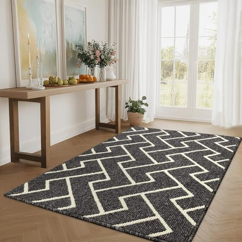 Biscpro Schmutzfangmatte 90 x 150, Rutschfestigkeit Fußmatte,Maschine gewaschen Türmatte für Hund, Außen Innen Garten,Teppich,küchenteppich,Haustür