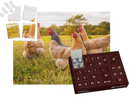 puzzleYOU: Puzzle-Adventskalender | „Hühner auf der Wiese“ – aus der Puzzle-Kollektion Hühner & Küken, Bauernhof-Tiere